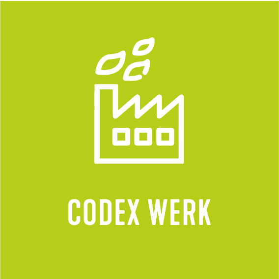 Icon Codex Werk